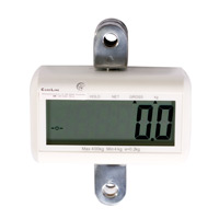Hoist-Scales